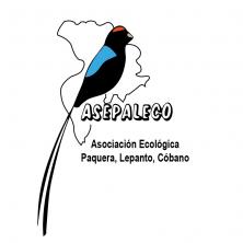 ASEPALECO